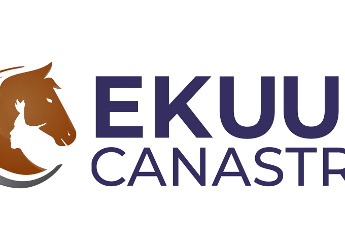 Container Tamanduá Bandeira